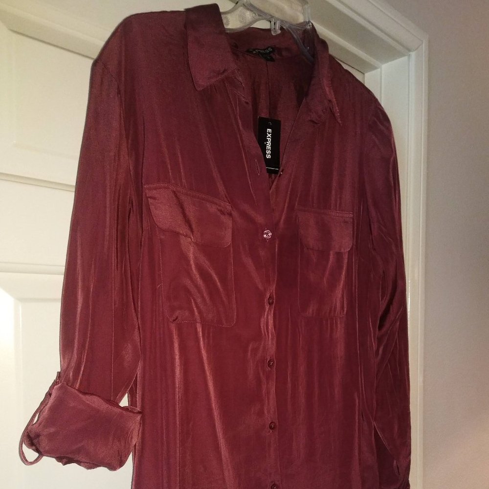 NWT Express Satin long sleeve Blouse